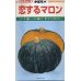 画像1: [かぼちゃ]　恋するマロン　50粒　カネコ交配 (1)