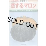 送料無料　[かぼちゃ]　恋するマロン　100粒　カネコ種苗（株）