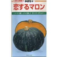 送料無料　[かぼちゃ]　恋するマロン　9粒　カネコ交配