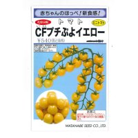 [トマト/ミニトマト]　CFプチぷよイエロー　　100粒　松島交配