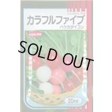 送料無料　[大根]　はつかだいこん　カラフルファイブ　20ml　(株)サカタのタネ