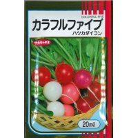 [大根]　はつかだいこん　カラフルファイブ　20ml  サカタ交配