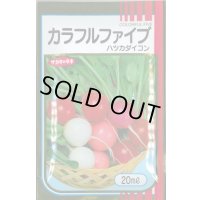[大根] はつかだいこん カラフルファイブ 20ml (株)サカタのタネ