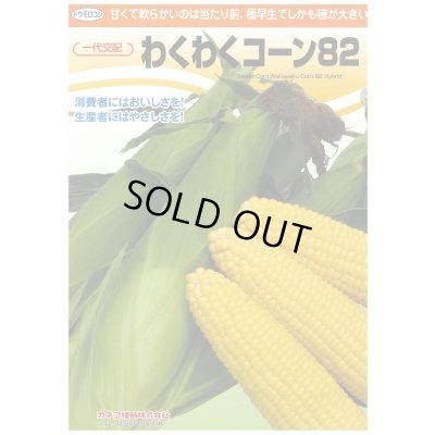 画像2: [とうもろこし]　わくわくコーン82　2000粒　カネコ種苗（株）