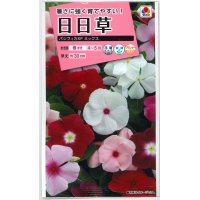 花の種　日日草（ビンカ）・パシフィカ XP ミックス　小袋　タキイ種苗（株）