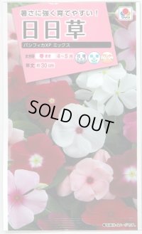 送料無料　花の種　日日草(ビンカ)・パシフィカ　XP　ミックス　小袋　タキイ種苗(株)NL300