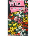 送料無料　花の種　百日草(ジニア)・ザハラ　ミックス　小袋　タキイ種苗(株)