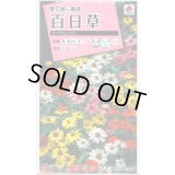 送料無料　花の種　百日草(ジニア)・ザハラ　ミックス　小袋　タキイ種苗(株)NL300