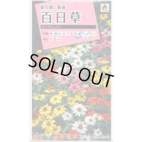送料無料　花の種　百日草(ジニア)・ザハラ　ミックス　小袋　タキイ種苗(株)NL300