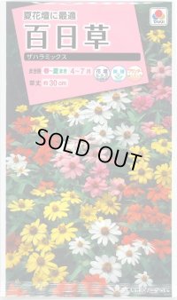 送料無料　花の種　百日草(ジニア)・ザハラ　ミックス　小袋　タキイ種苗(株)NL300