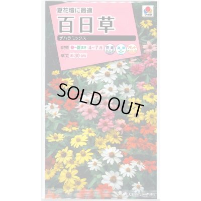 画像1: 送料無料　花の種　百日草(ジニア)・ザハラ　ミックス　小袋　タキイ種苗(株)NL300