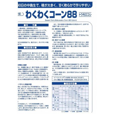 画像3: [とうもろこし]　わくわくコーン88　100粒　カネコ交配