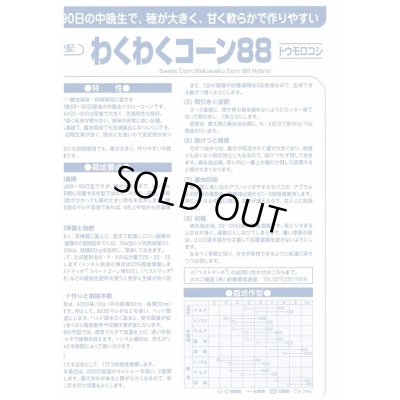 画像3: 送料無料　[とうもろこし]　わくわくコーン88　100粒　カネコ種苗（株）