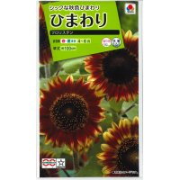 花の種　ひまわり　フロリスタン　小袋　タキイ種苗（株）