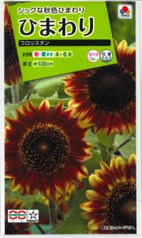 花の種　ひまわり　フロリスタン　小袋　タキイ種苗（株）