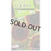送料無料　花の種　ひまわり　フロリスタン　小袋　タキイ種苗(株)NL200