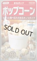 送料無料　[とうもろこし]　まるポップ　約65粒　(株)サカタのタネ　実咲450（002893）
