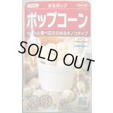 送料無料　[とうもろこし]　まるポップ　約65粒　(株)サカタのタネ　実咲450（002893）