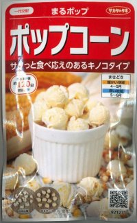 [とうもろこし]　まるポップ　約65粒　サカタ交配　実咲