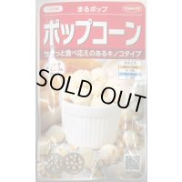 送料無料　[とうもろこし]　まるポップ　約65粒　(株)サカタのタネ　実咲450（002893）