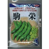 送料無料　[そら豆]　駒栄　1dl(およそ20粒)　(株)サカタのタネ