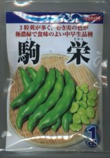 送料無料　[そら豆]　駒栄　1dl(およそ20粒)　(株)サカタのタネ