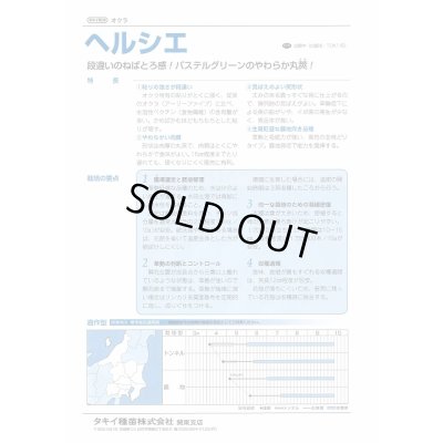 画像4: 送料無料　[オクラ]　ヘルシエ　1万粒　タキイ種苗(株)