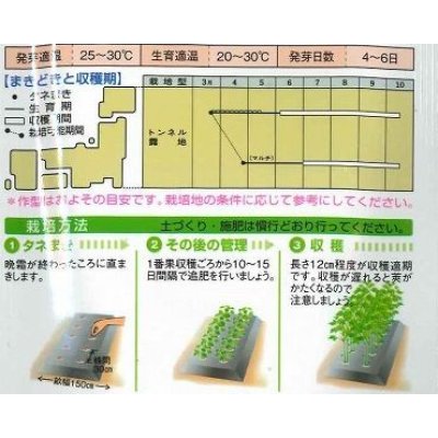 画像5: 送料無料 [オクラ] ヘルシエ 1000粒 タキイ種苗(株)