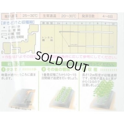 画像5: 送料無料　[オクラ]　ヘルシエ　1万粒　タキイ種苗(株)