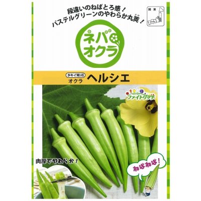 画像3: 送料無料 [オクラ] ヘルシエ 1000粒 タキイ種苗(株)