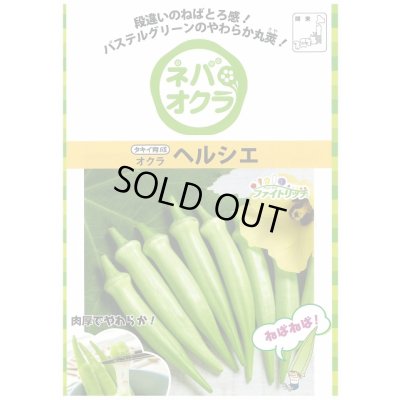 画像3: 送料無料　[オクラ]　ヘルシエ　1万粒　タキイ種苗(株)