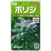 [ハーブの種]　ボリジ　約45粒　サカタのタネ　実咲