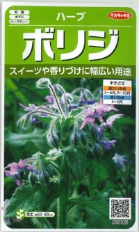 [ハーブの種]　ボリジ　約45粒　サカタのタネ　実咲