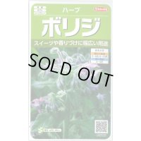 送料無料　[ハーブの種]　ボリジ　約45粒　(株)サカタのタネ　実咲（003191）