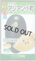 送料無料　[スイカ]　小玉スイカ　アジアン小町　7粒　大和農園
