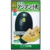 画像1: 送料無料　[スイカ]　小玉スイカ　アジアン小町　7粒　大和農園 (1)