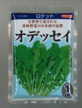 送料無料　[葉物]　ルッコラ　オデッセイ　ロケット　1dl　(株)サカタのタネ