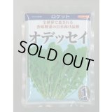 送料無料　[葉物]　ルッコラ　オデッセイ　ロケット　1dl　(株)サカタのタネ