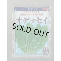 送料無料　[葉物]　ルッコラ　オデッセイ　ロケット　1dl　(株)サカタのタネ