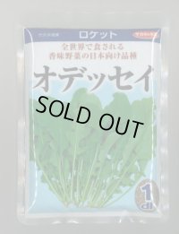 送料無料　[葉物]　ルッコラ　オデッセイ　ロケット　1dl　(株)サカタのタネ