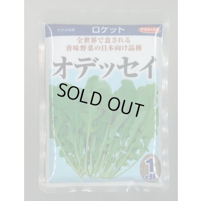 画像1: 送料無料　[葉物]　ルッコラ　オデッセイ　ロケット　1dl　(株)サカタのタネ