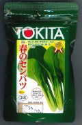 送料無料　[小松菜]　春のセンバツ　2dl　トキタ種苗(株)
