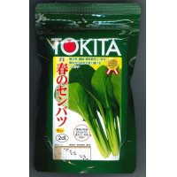 [小松菜]　春のセンバツ　2dl　トキタ種苗