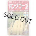 送料無料　[とうもろこし]　ヤングコーン　約90粒　(株)サカタのタネ　実咲450（002894）