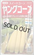 送料無料　[とうもろこし]　ヤングコーン　約90粒　(株)サカタのタネ　実咲450（002894）