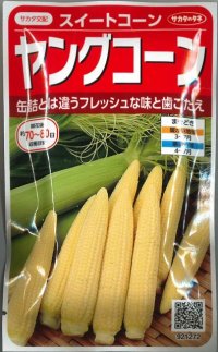 [とうもろこし]　ヤングコーン　約90粒　サカタのタネ（株）　実咲400