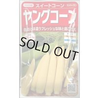 送料無料　[とうもろこし]　ヤングコーン　約90粒　(株)サカタのタネ　実咲450（002894）