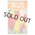 送料無料　花の種　けいとう　八千代混合　約186粒　(株)サカタのタネ　実咲200（026322）
