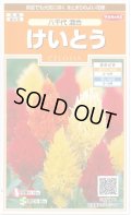 送料無料　花の種　けいとう　八千代混合　約186粒　(株)サカタのタネ　実咲200（026322）