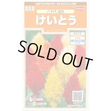 送料無料　花の種　けいとう　八千代混合　約186粒　(株)サカタのタネ　実咲200（026322）